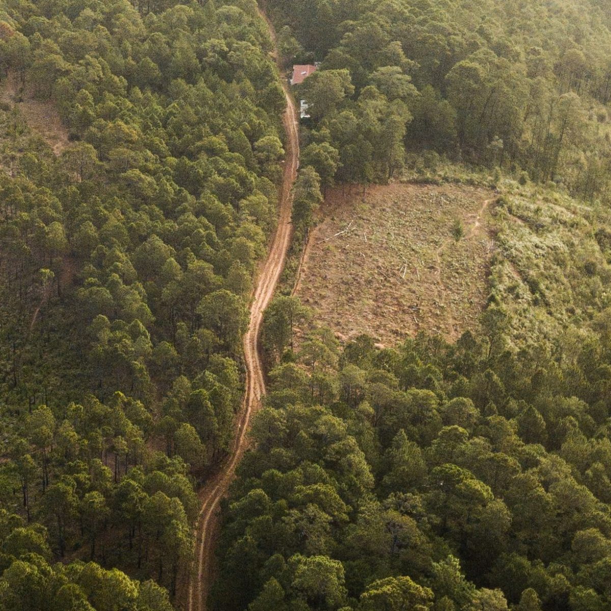 Les Équatoriens votent pour l’arrêt d’un gisement de pétrole dans une&nbsp;réserve