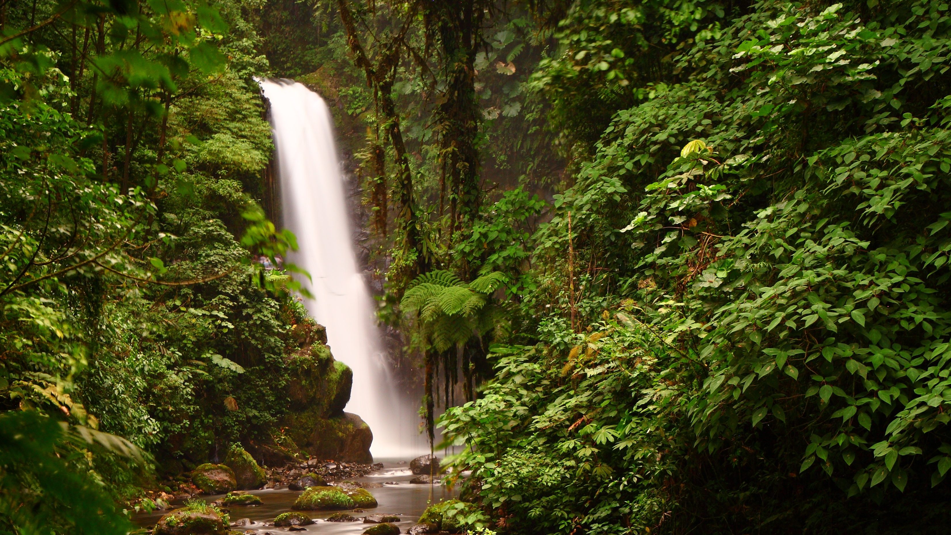 Chute d'eau dans une forêt du Costa Rica